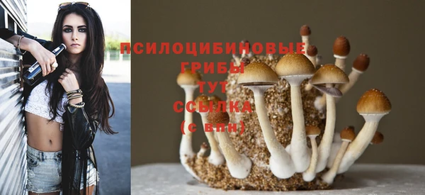 индика Волоколамск