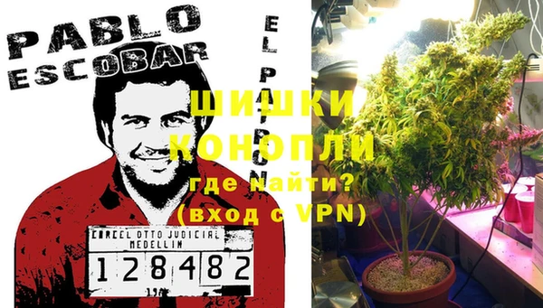 2c-b Корсаков