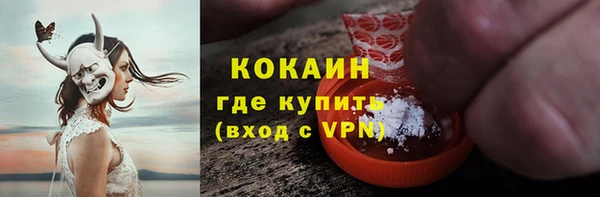 стафф Коряжма