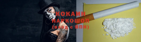 стафф Коряжма